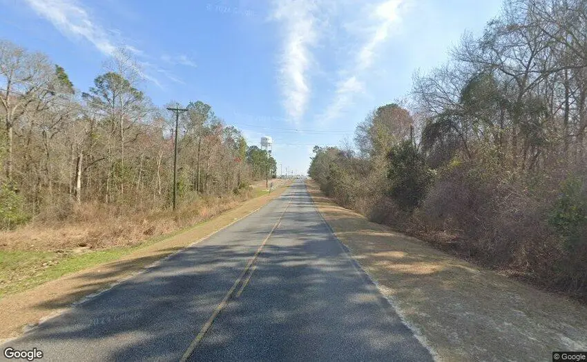 0 Jim Hammock Drive, McRae, GA 31055 - #2