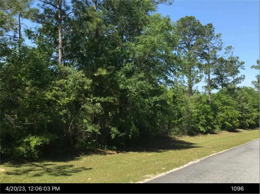 0 Jim Hammock Drive, McRae, GA 31055 - #3