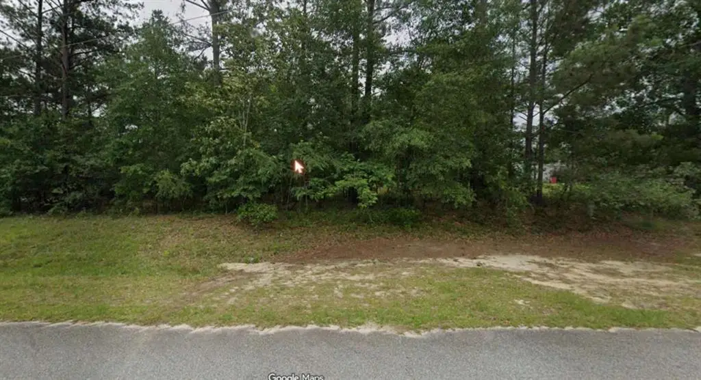 213 Briar Creek Run, Lizella, GA 31052 - #1