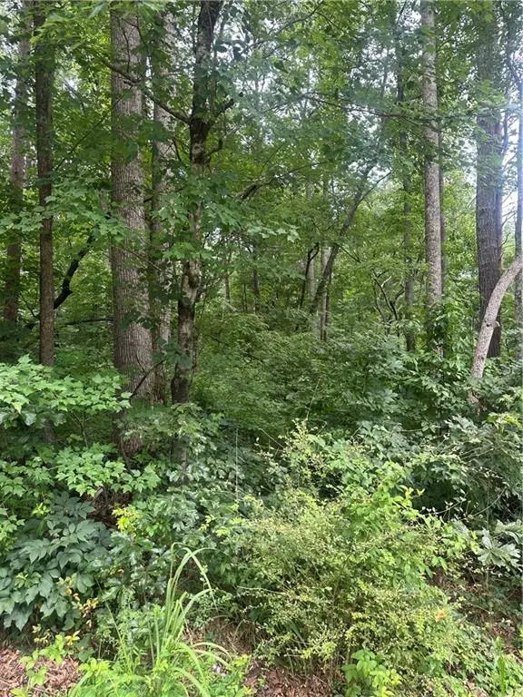 5281 N Forest Boulevard, Gainesville, GA 30506 - #2