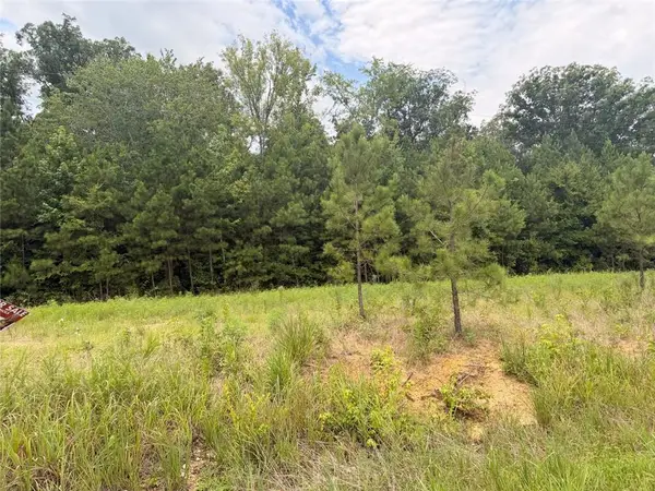 Lot 58 County Road 32, Piedmont, AL 36272