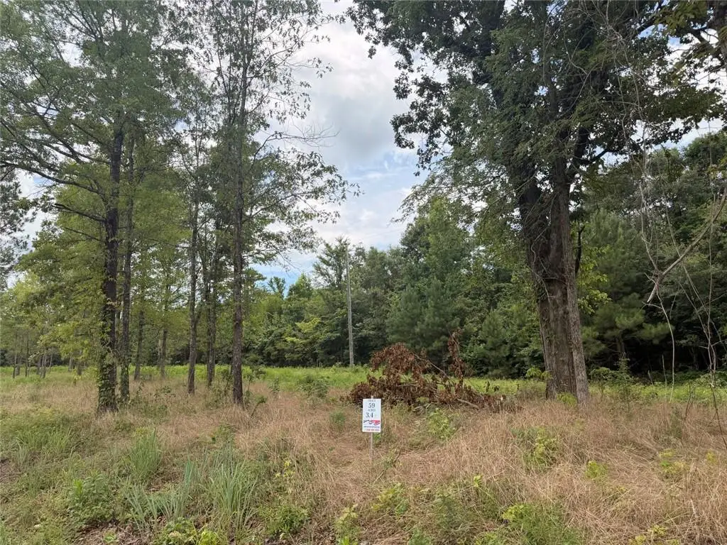 Lot 59 County Road 32, Piedmont, AL 36272 - #1