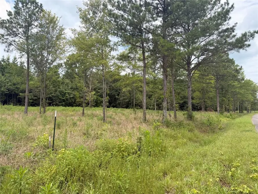 Lot 59 County Road 32, Piedmont, AL 36272 - #3