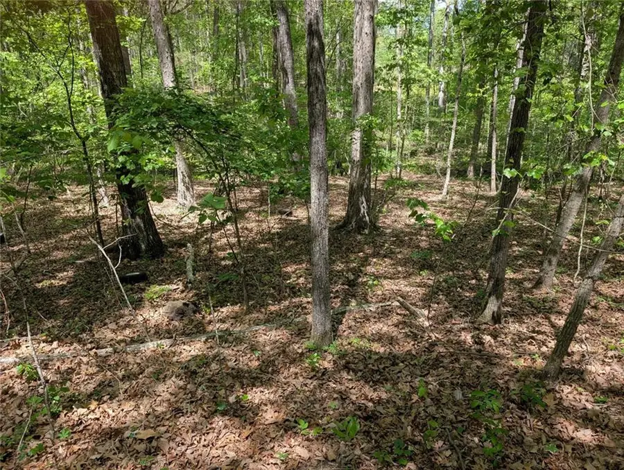 110 Honeysuckle Drive, Cumming, GA 30040 - #2