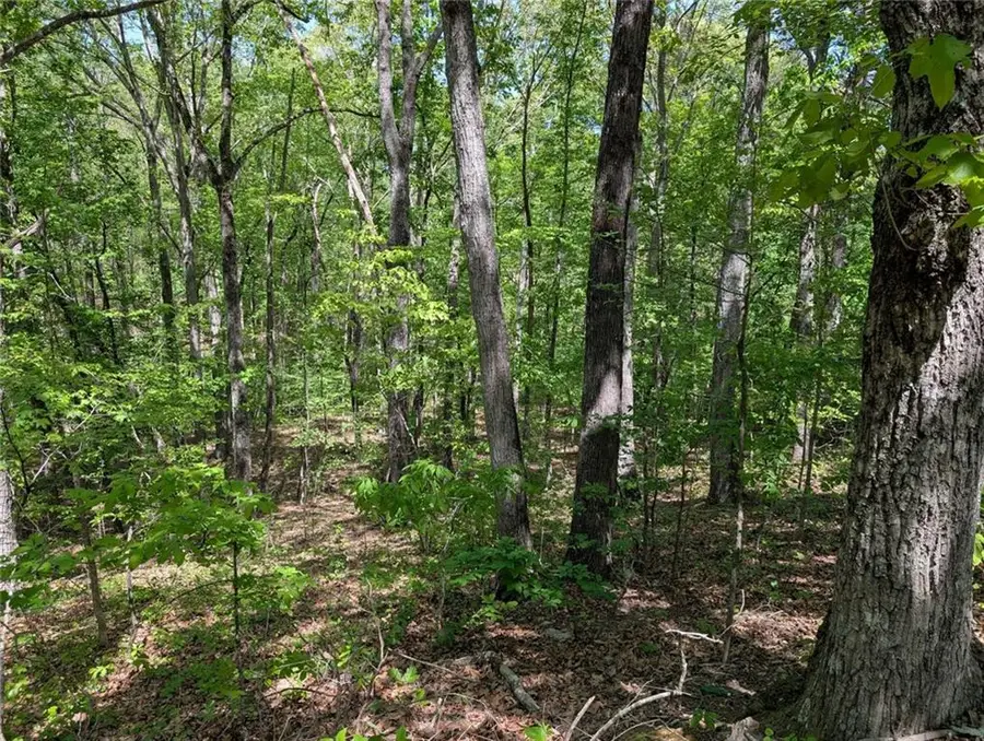 110 Honeysuckle Drive, Cumming, GA 30040 - #3