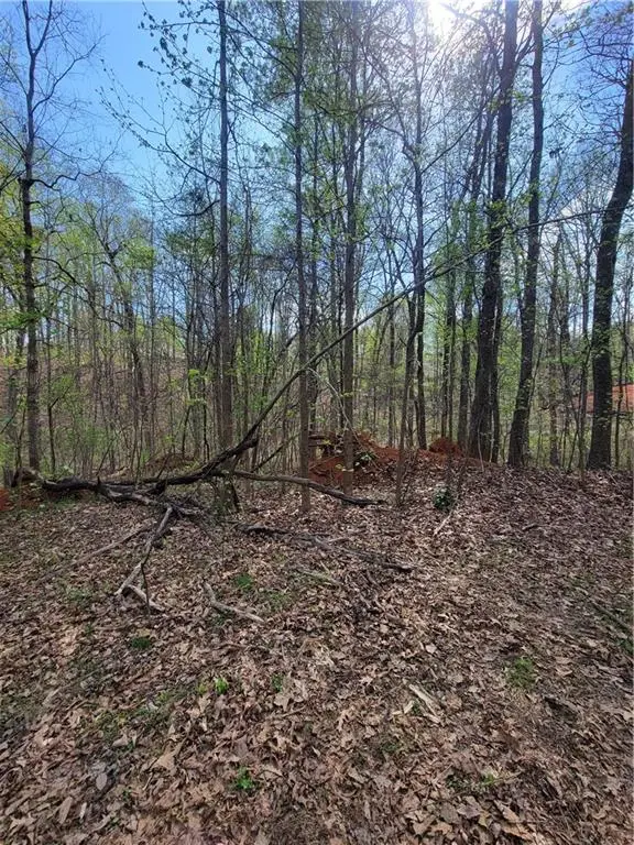 4230 Belvedere Drive, Gainesville, GA 30506 - #3