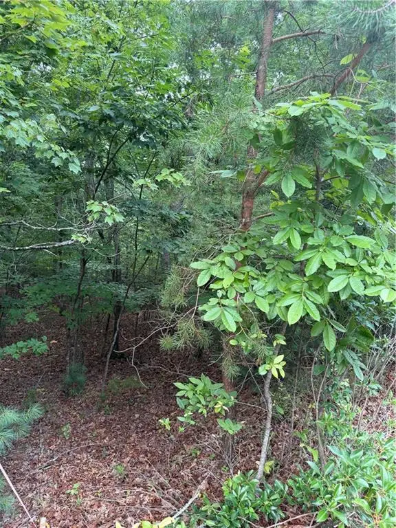 13 Pinnacle Court, Blairsville, GA 30512 - #2