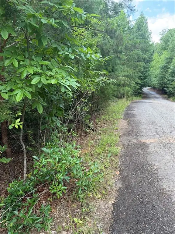13 Pinnacle Court, Blairsville, GA 30512 - #3