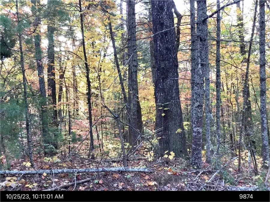- Andros Court, Ellijay, GA 30540 - #2