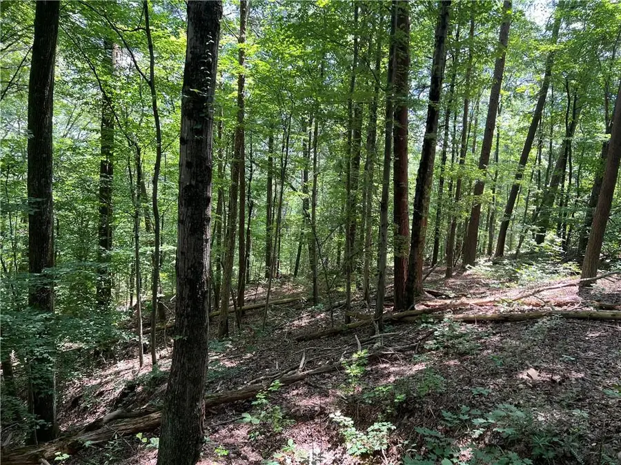 0 Lavender Trail, Rome, GA 30165 - #3