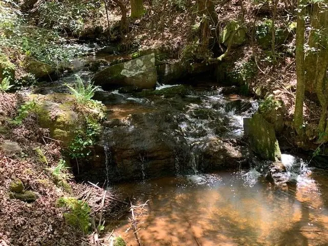 0 Fireside River Trace West, Dahlonega, GA 30533 - #2