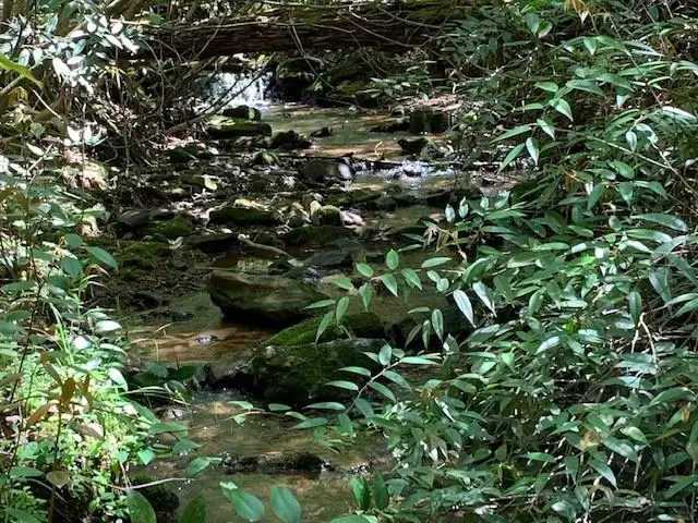 0 Fireside River Trace West, Dahlonega, GA 30533 - #3