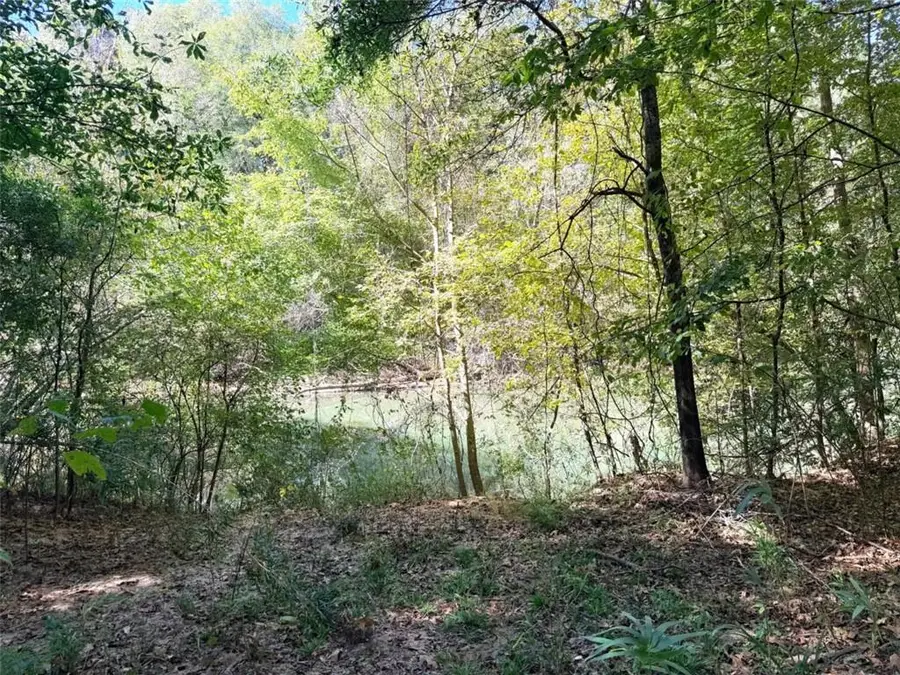 0 Towaliga South Road, Jackson, GA 30233 - #3