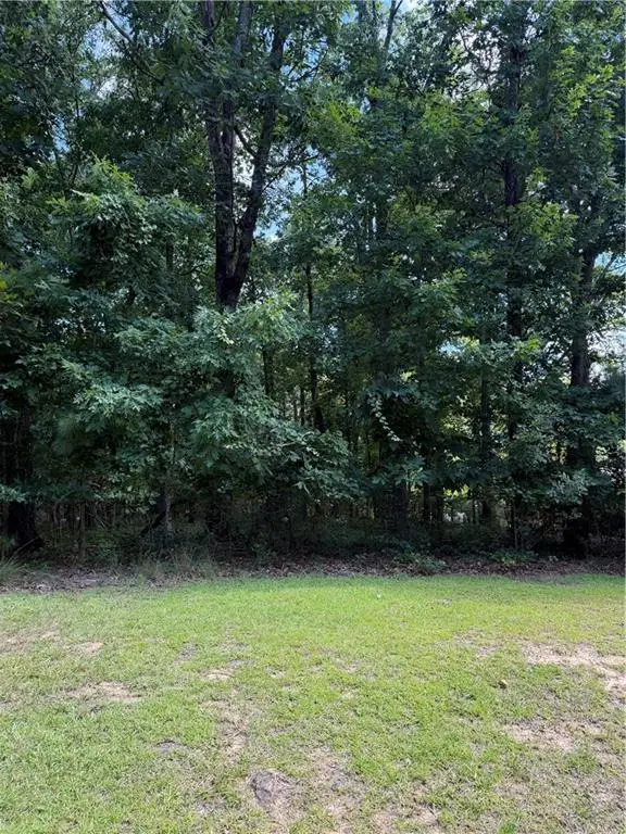 3355 Lakeview Parkway, Villa Rica, GA 30180 - #1