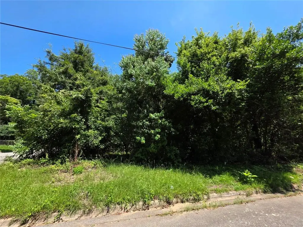 736 Peachtree Street, Macon, GA 31217 - #1