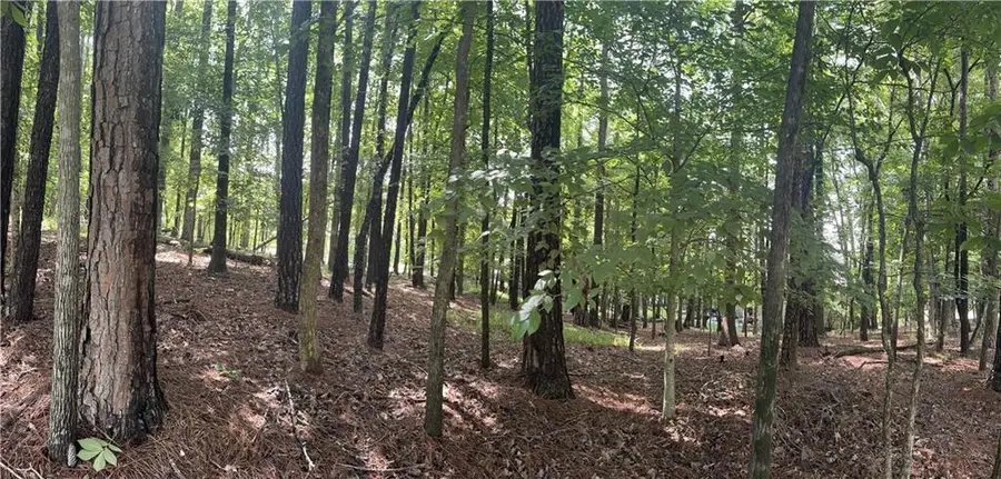 460 Covington Cove, Johns Creek, GA 30022 - #3