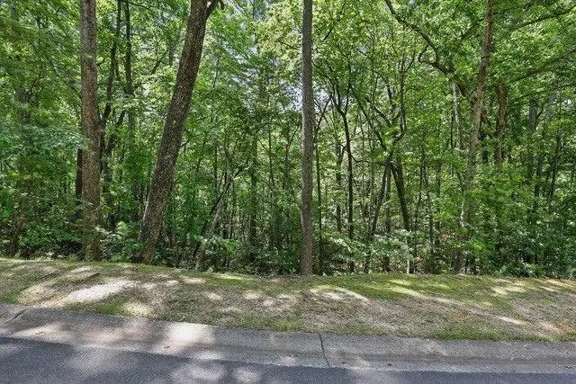 0 Plum Lane, Clarkesville, GA 30523 - #3
