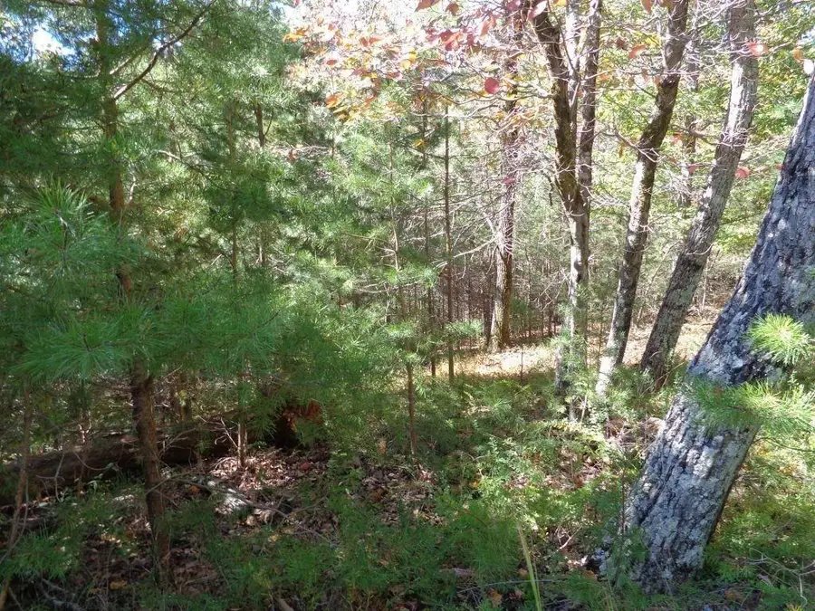 2474 Wedgewood Drive, Big Canoe, GA 30143 - #3