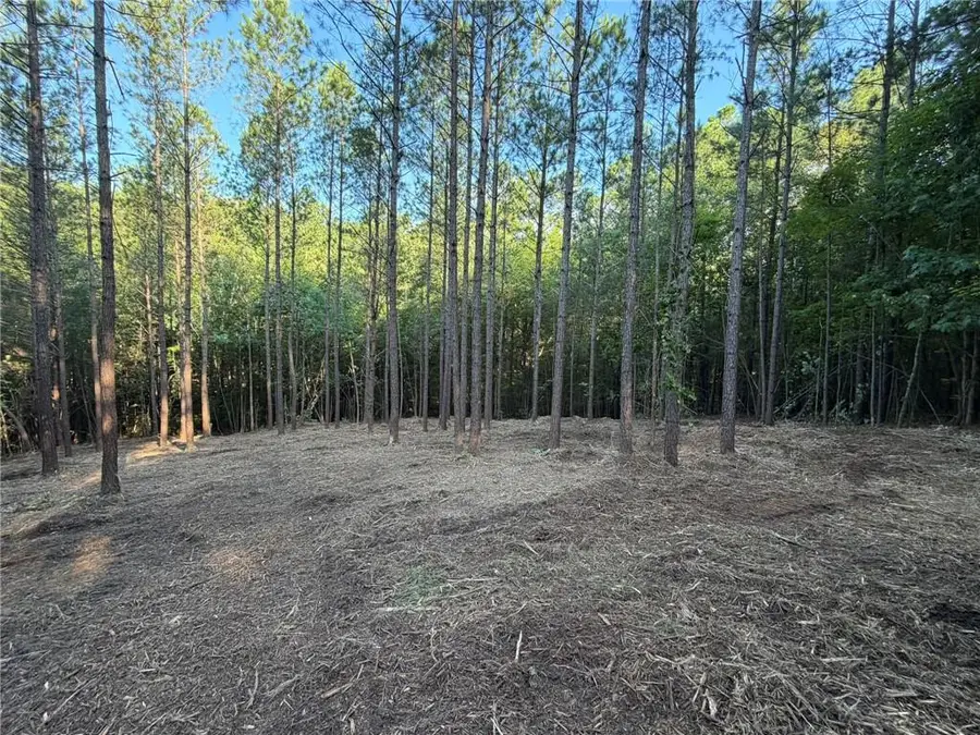 0 Lone Bear Path, Dallas, GA 30132 - #2