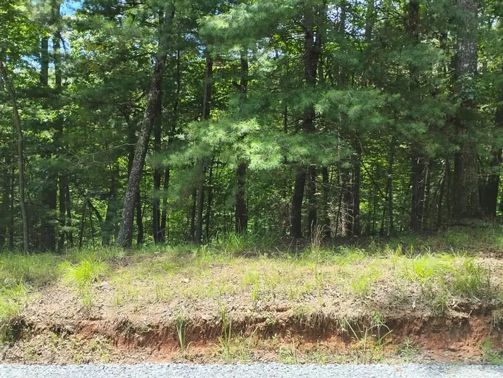 0 Crystal Lane, Ellijay, GA 30540 - #1