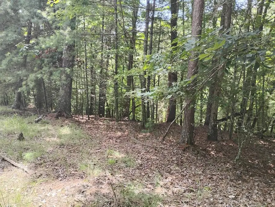 0 Crystal Lane, Ellijay, GA 30540 - #3