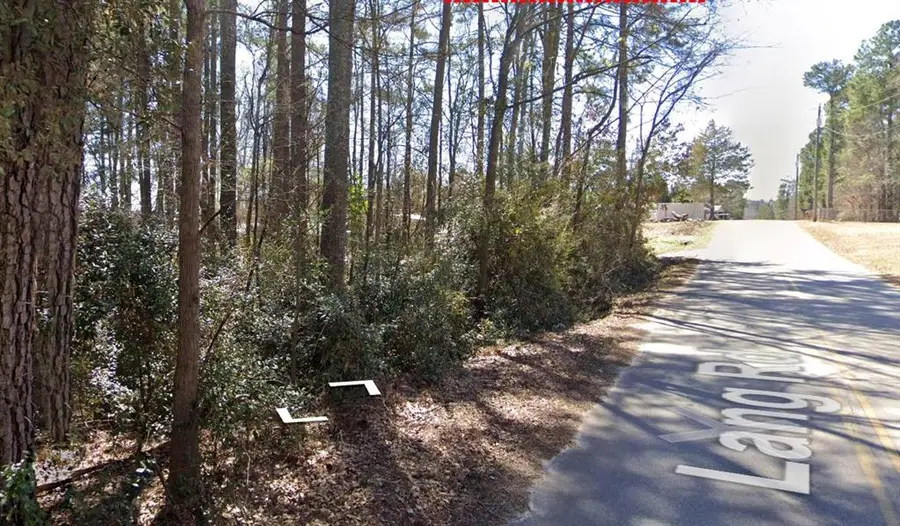 0 Lang Road, South Newton, GA 30044 - #3