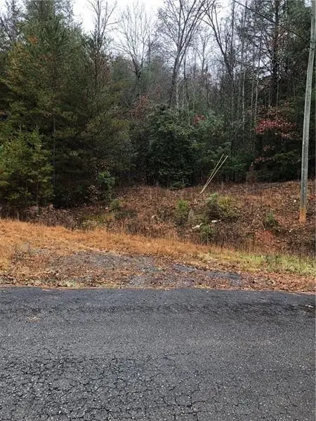 0 Flagpole Road, Ellijay, GA 30540 - #1