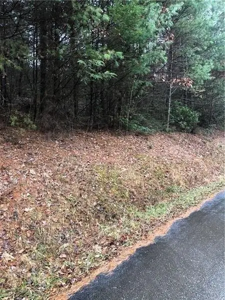 0 Flagpole Road, Ellijay, GA 30540 - #2