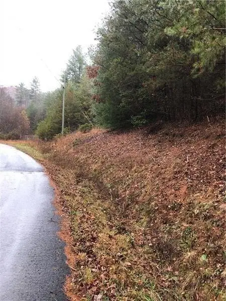 0 Flagpole Road, Ellijay, GA 30540 - #3