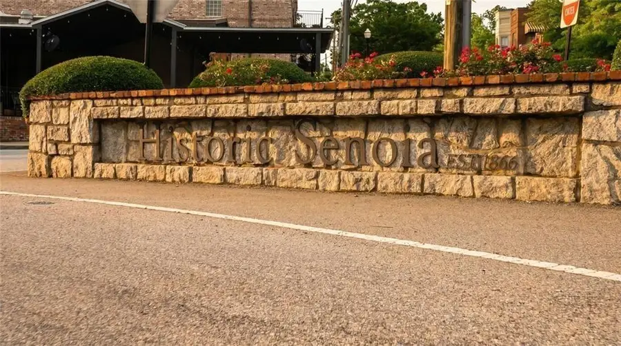 61 Bourbon Street #7, Senoia, GA 30276 - #2