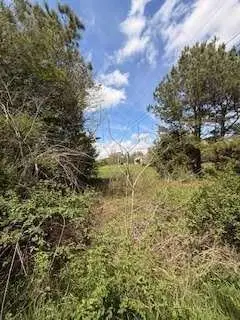 390 Fields Road, Cedartown, GA 30125 - #1