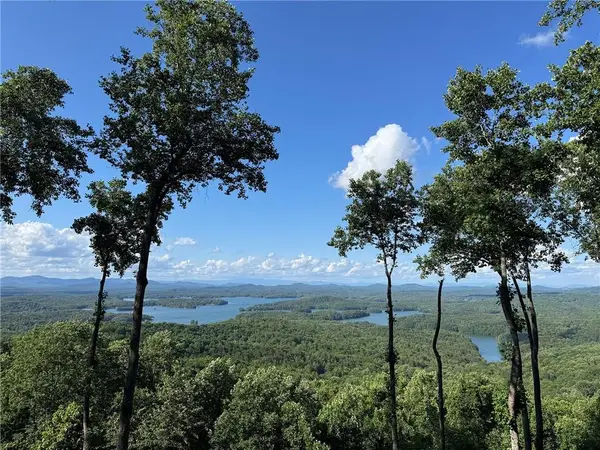 970 Lakeview Drive, Blue Ridge, GA 30513