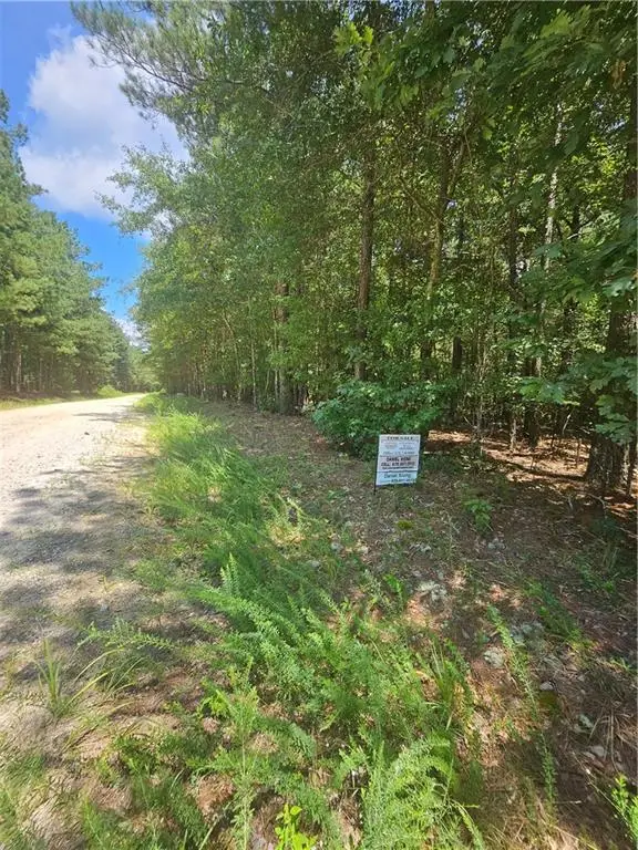 292 Mccannon Rd Tract 3, Carlton, GA 30627