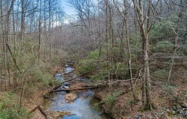 232 Andes Ridge, Ellijay, GA 30540 - #2