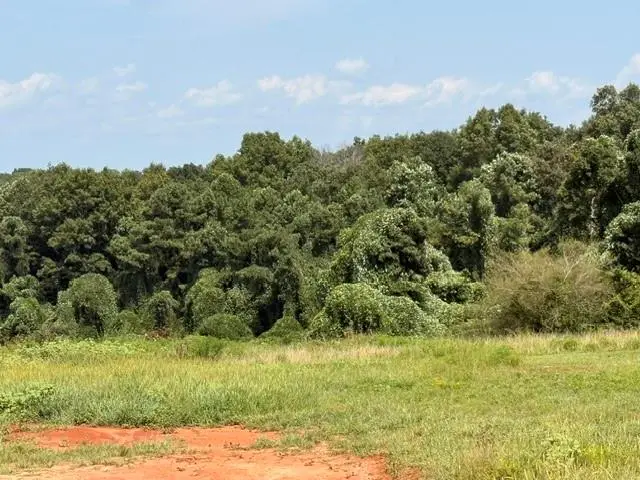 000 Rainey Rd, Temple, GA 30179 - #3