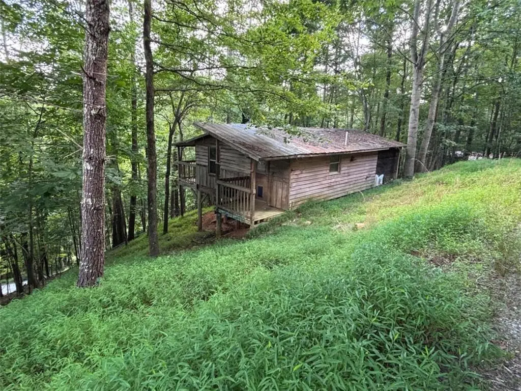 1163 Tipton Springs Road, Morganton, GA 30560 - #1