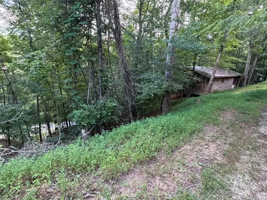 1163 Tipton Springs Road, Morganton, GA 30560 - #2