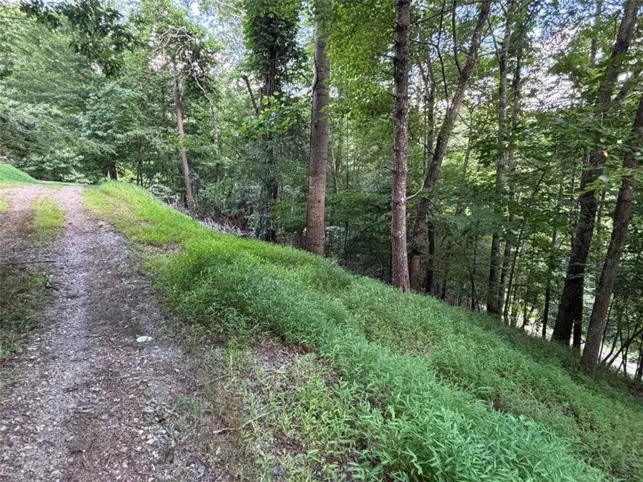 1163 Tipton Springs Road, Morganton, GA 30560 - #3