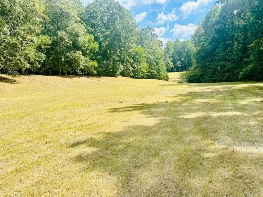 330 Lakeshore Road, Milton, GA 30004 - #3