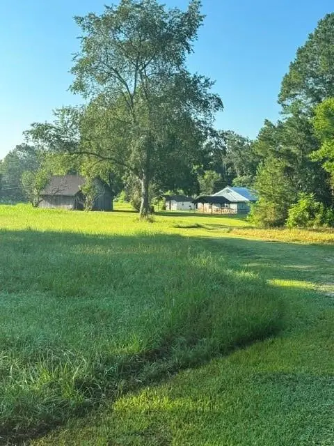 3272 Piedmont Highway, Cedartown, GA 30125 - #1