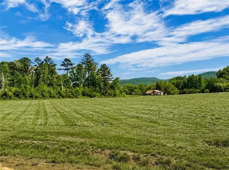 118 Palisade Drive, Rydal, GA 30171 - #1