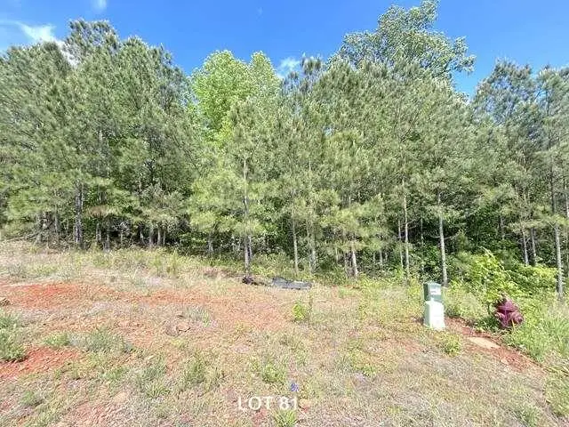 154 Oakdale Way, Temple, GA 30179 - #3