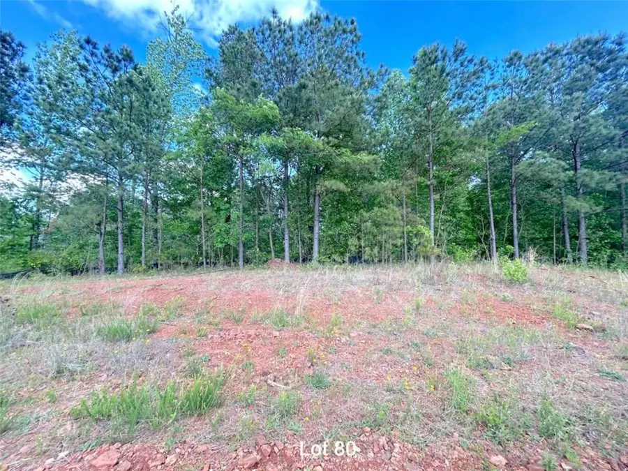 172 Oakdale Way, Temple, GA 30179 - #3