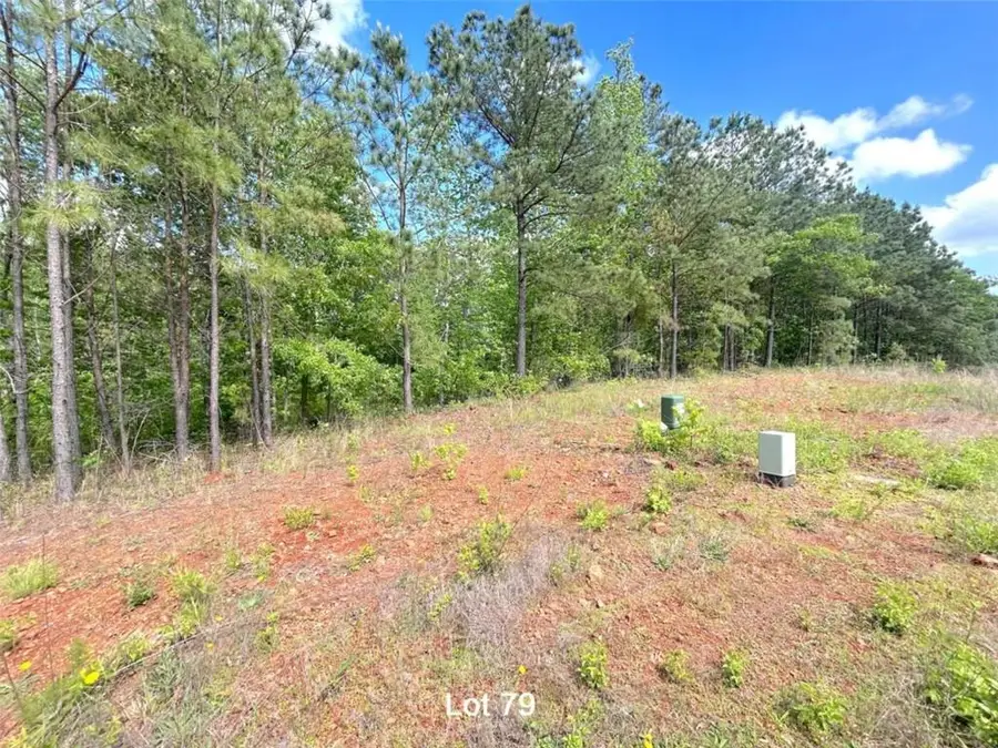 190 Oakdale Way, Temple, GA 30179 - #3