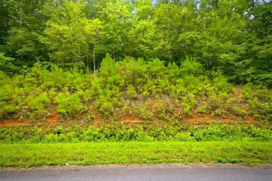 0 J C Daniell Road, Carrollton, GA 30117 - #3