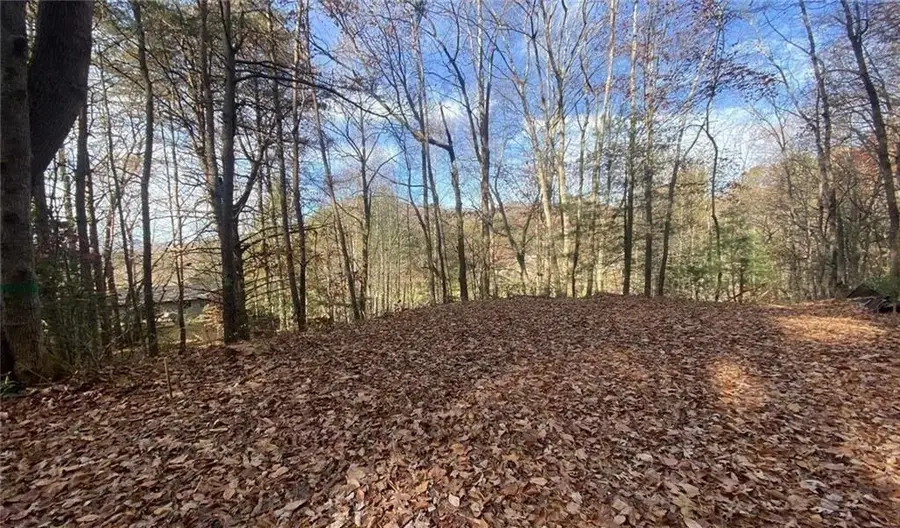 1 Barefoot Hills, Hiawassee, GA 30546 - #2