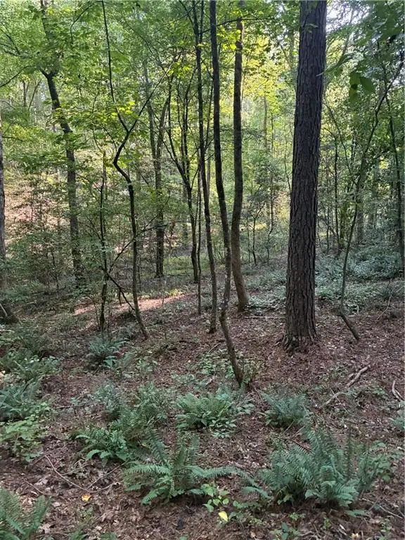 156 Whitfield Lane, Ball Ground, GA 30107 - #3