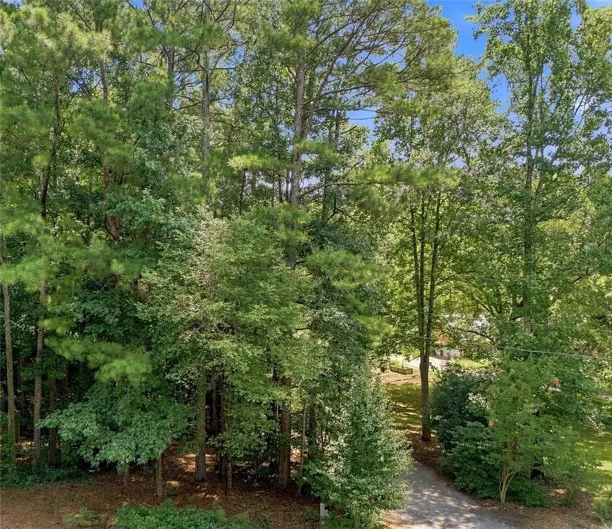 13405 Cogburn Road, Milton, GA 30004 - #1