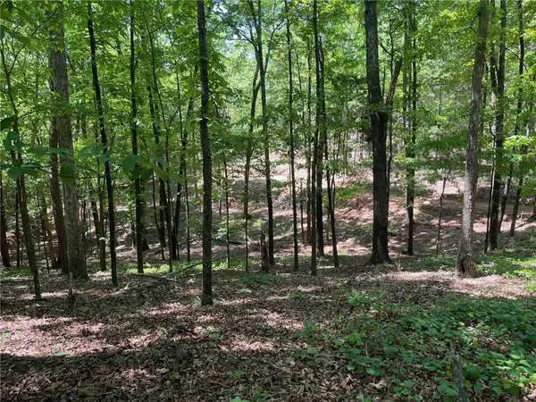 TR 3 Chalcrest Way, Cave Spring, GA 30124