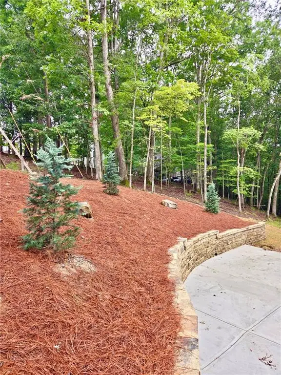 137 Bear Drive, Waleska, GA 30183 - #3